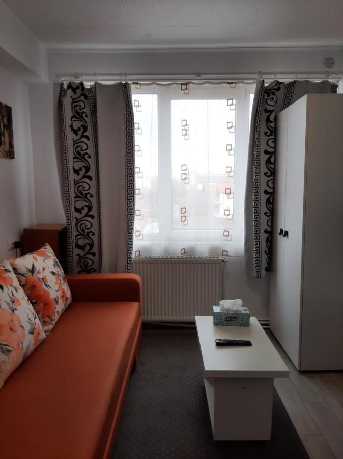 Arti Studio Apartment Brasov Exterior photo